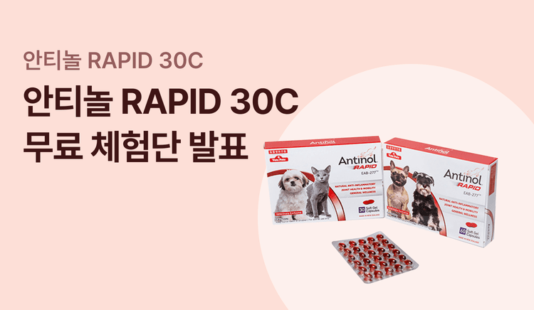 안티놀 RAPID 30C