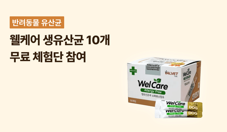 강아지 고양이 투약보조제 웰케어 생유산균 10개