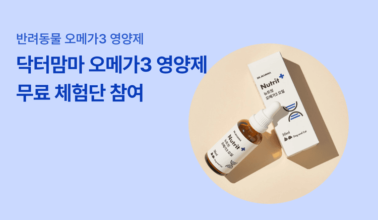 닥터맘마 오메가3 30ml