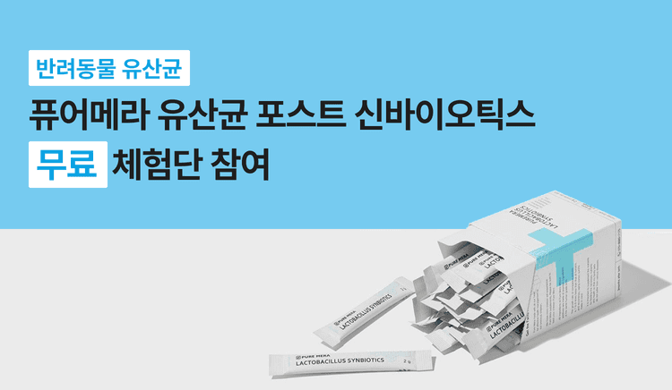 퓨어메라 유산균 포스트 신바이오틱스 60g