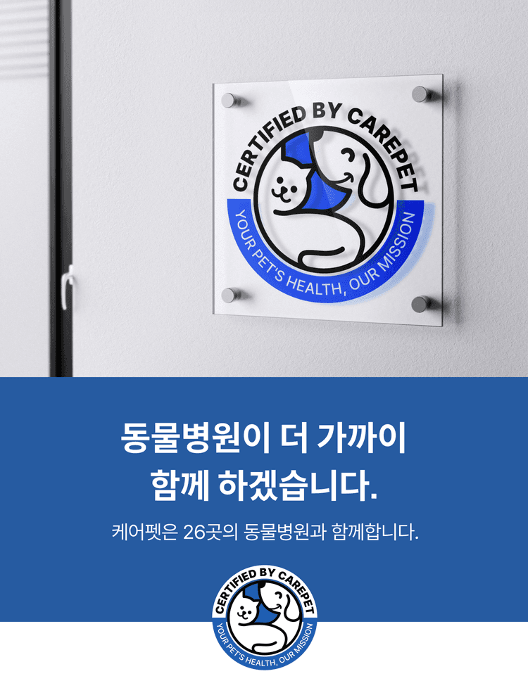 케어펫 동물병원 연합