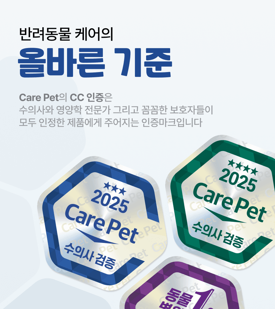 인증 페이지